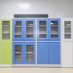 Lab Storage Cabinet