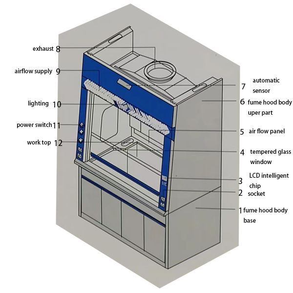 fume hood structure