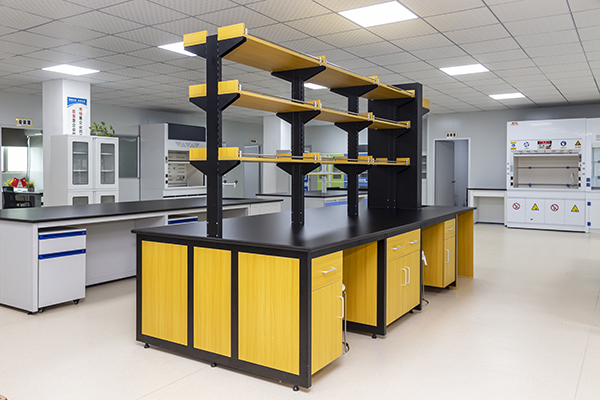 a yellow lab workbench
