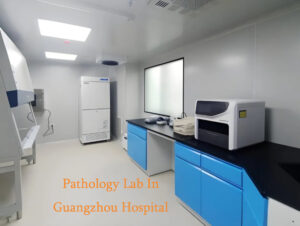 Comprehensive Guide to Pathology Lab Setup: Best Practices for ...